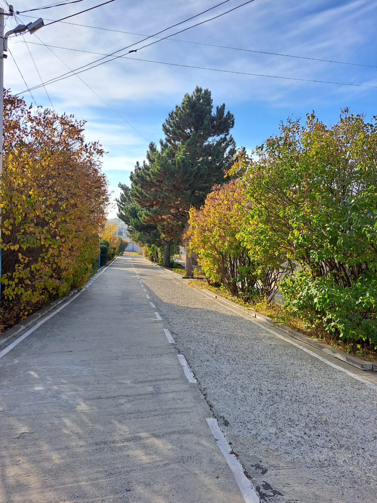 whatsapp image 2024 11 12 at 21.22.20